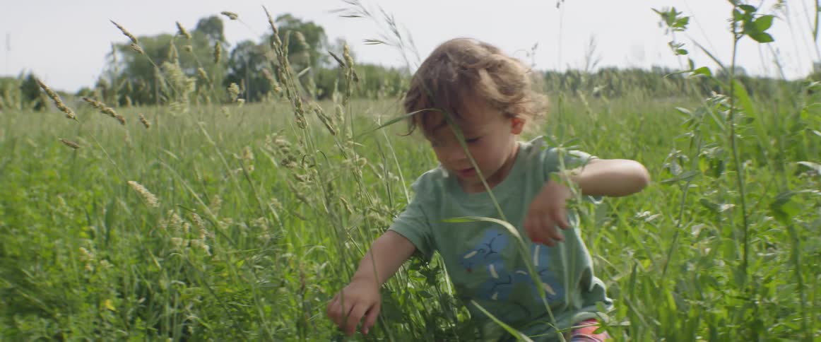 A boy wades through some plants on a sunny day
