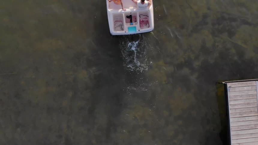 A peddle boat is being driven in the shallow water