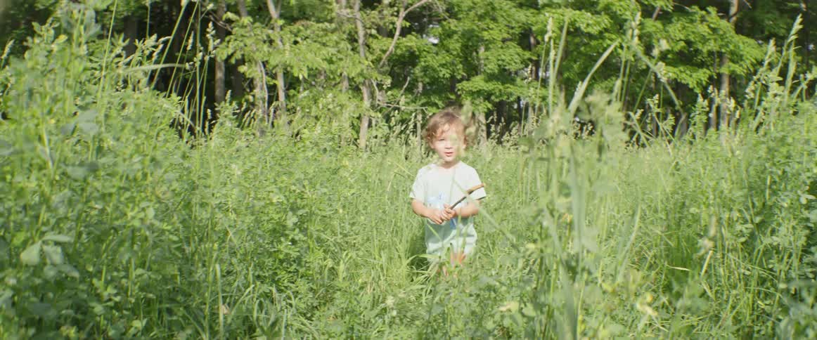 A boy walks through tall grass while holding a stick