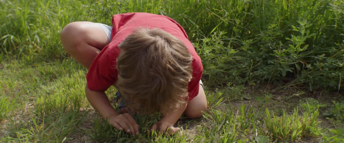 A boy digs in the grass looking for bugs