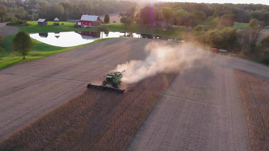The tractor is working the last of the crops