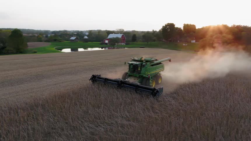 Combine is harvesting soybean crops on the farm