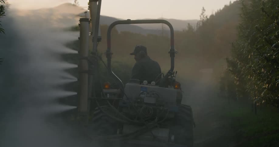 A man is driving a vehicle that is spraying on the crops as it passes