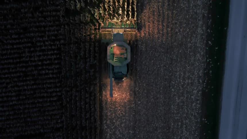 A tractor harvests crops on a farm