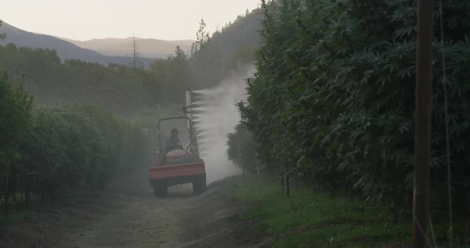 The vehicle is moving slowly past the crops spraying them