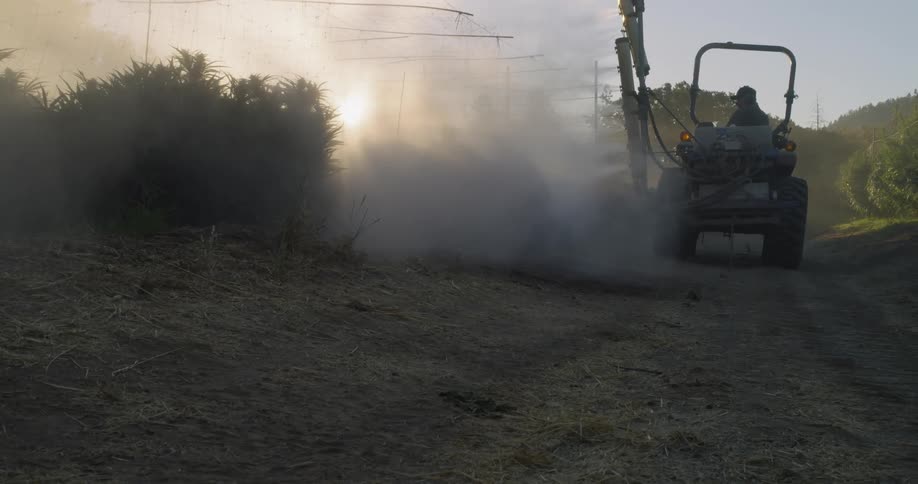 A man drives the vehicle pointing the spray towards the crops