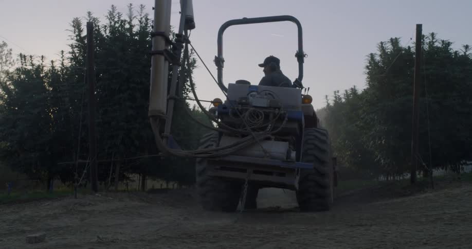 Tractor drives through an orchard and sprays the trees