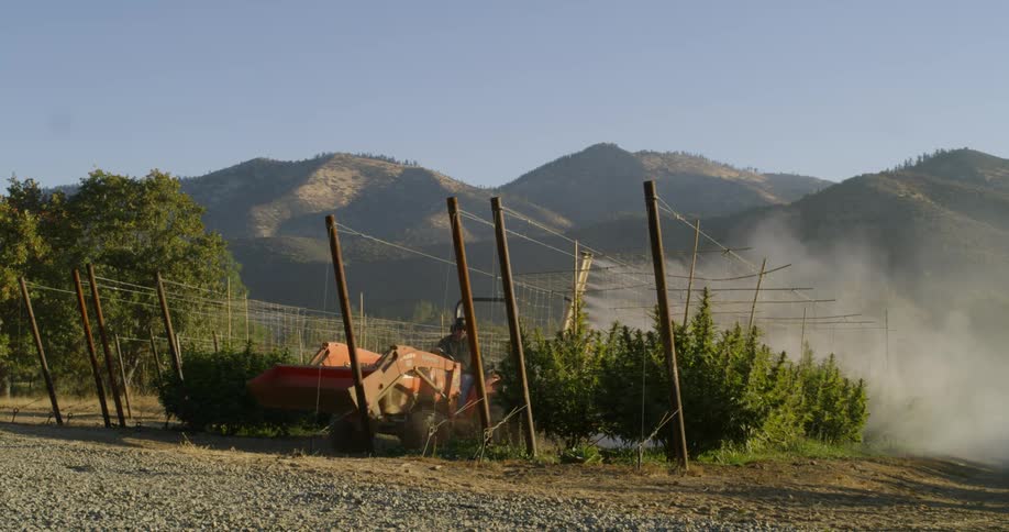 A farmer drives down a crop row and sprays the plants