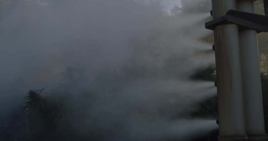 The hoses on the vehicle spray onto the crops