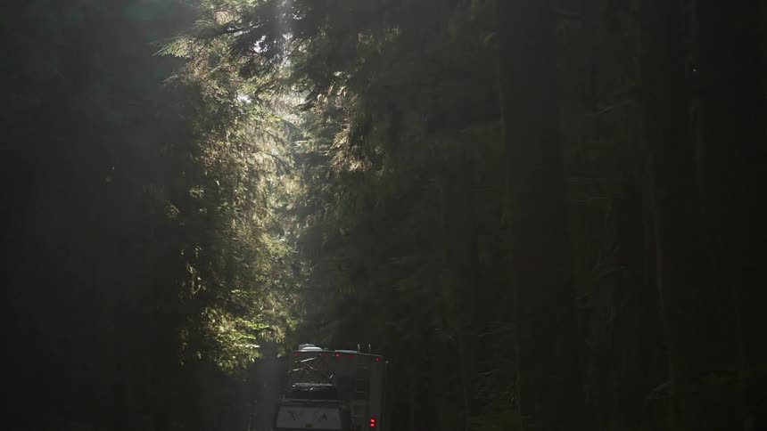 A camper drives in a forest