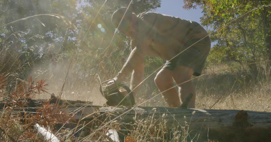 A man is using a chainsaw to cut a tree on the ground
