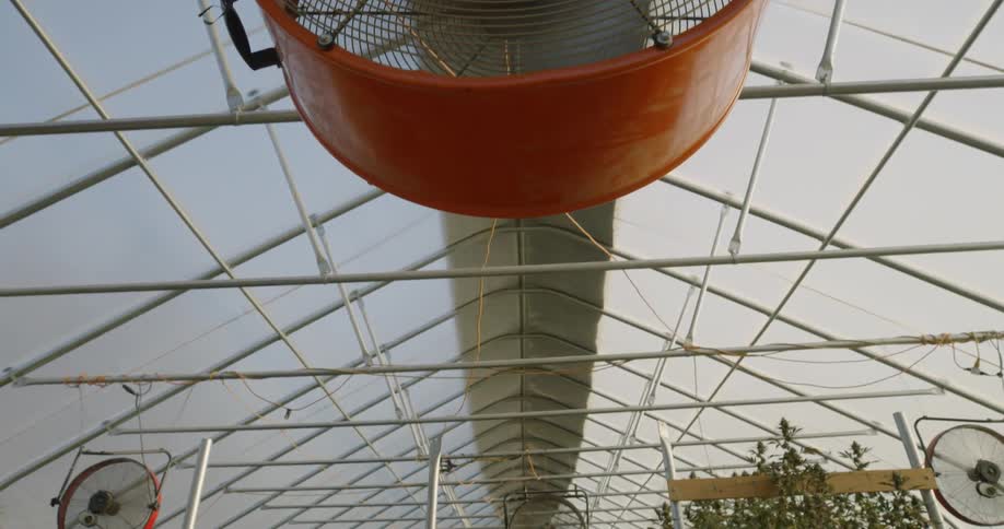 The farm is lined with fans above working