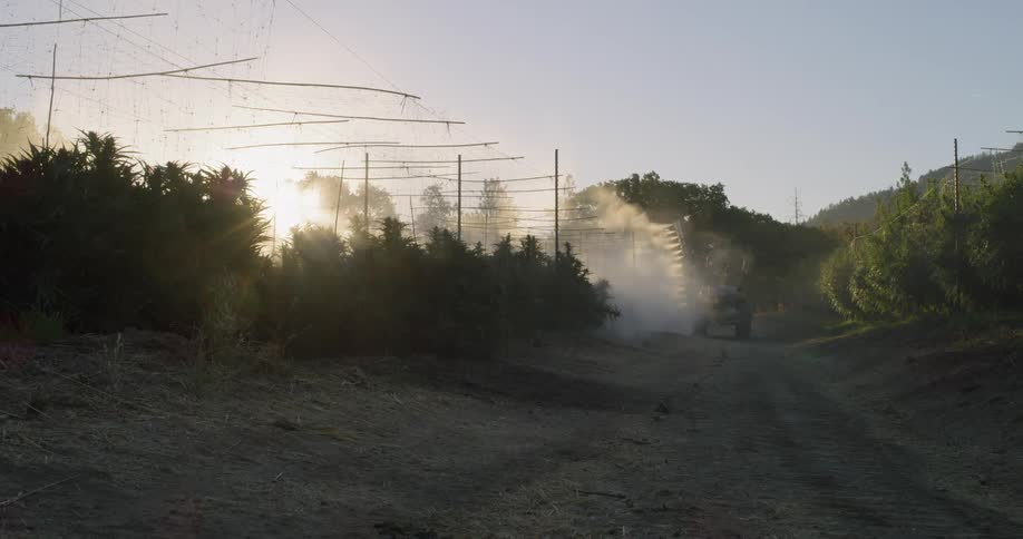 The vehicle is creating a mist over the crops at sunrise