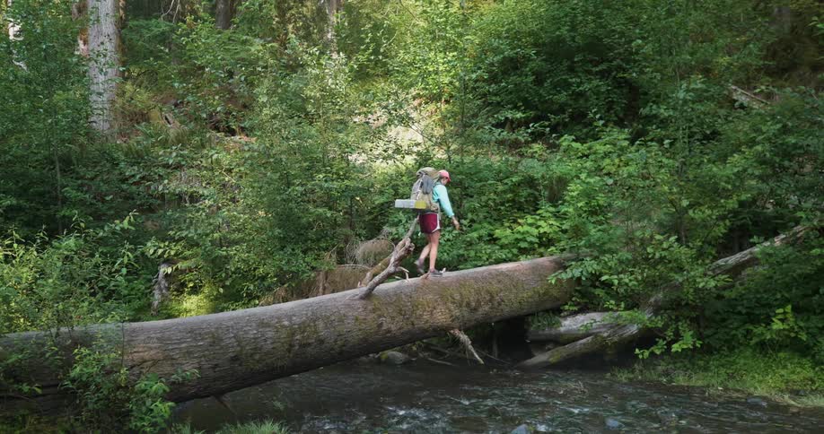 A person walks across a fallen tree over a river