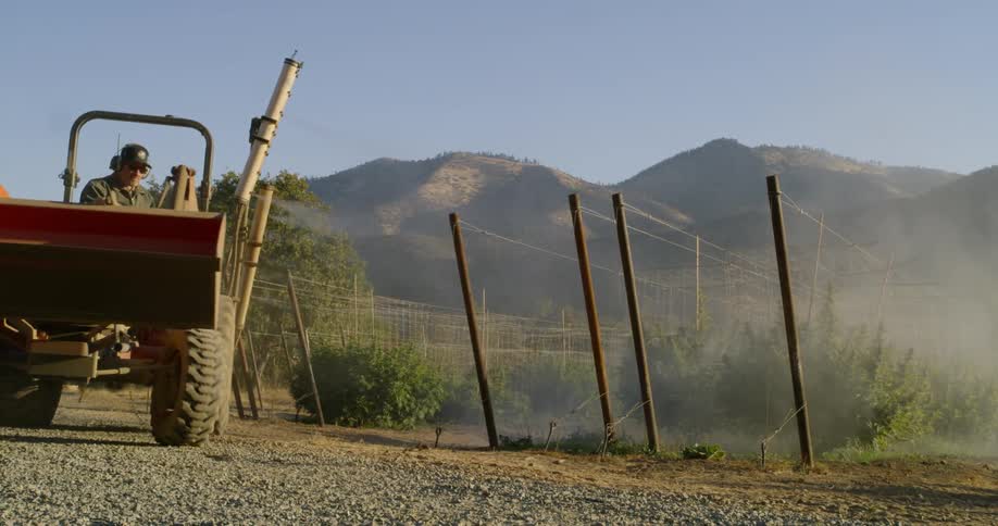 A tractor sprays plants on a farm
