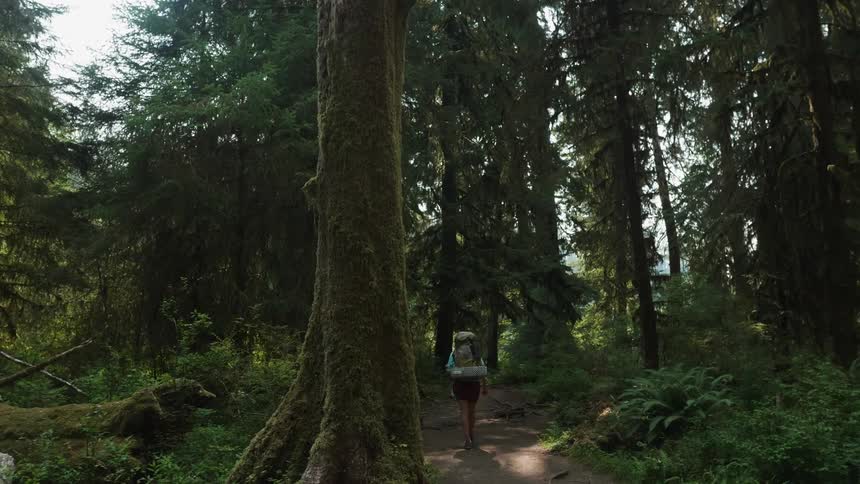 Person walks through the woods wearing a backpack