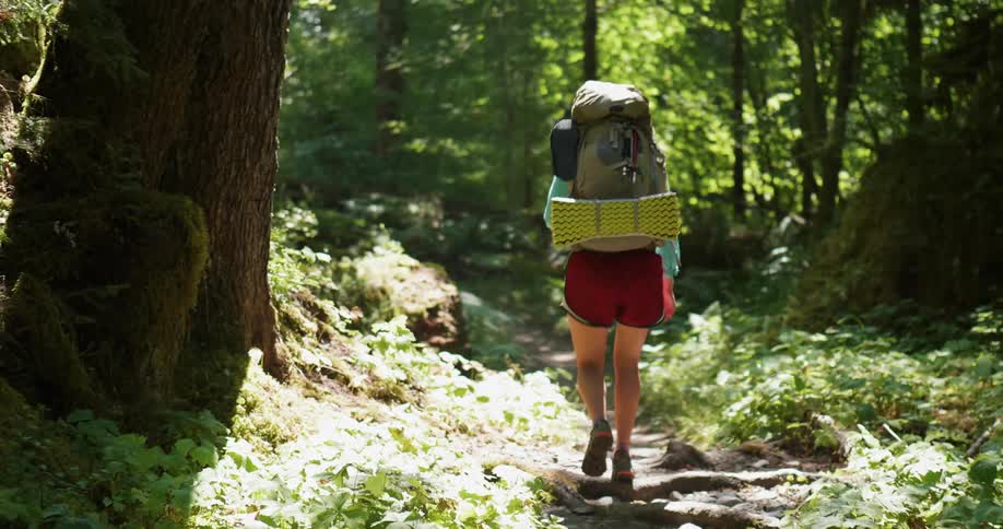 A woman is hiking on a dirt trail in a forest during the day