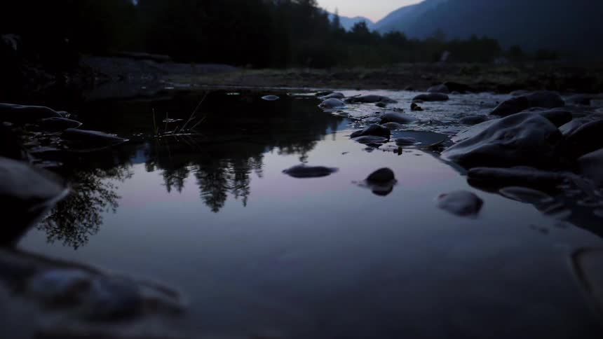 Trees are reflected in still water