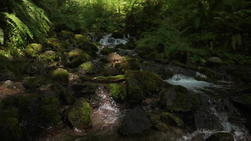 Water splashing over rocks in the woods