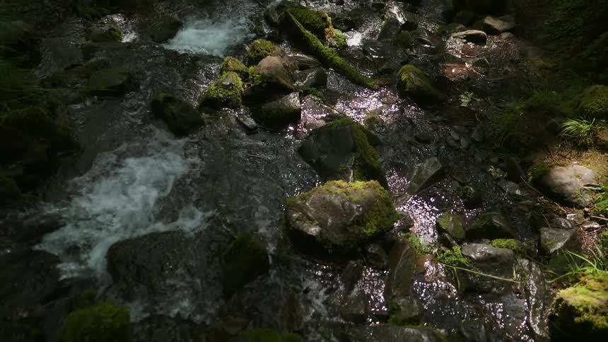 Colorful stream flowing over a rocky area