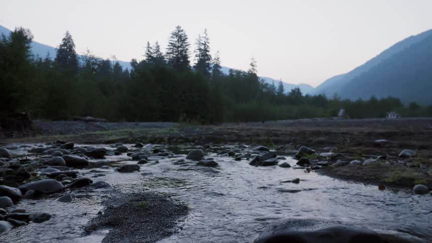 Water flows peacefully down a stream