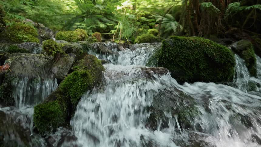 A stream is cascading over rocks in daylight in a tropical setting