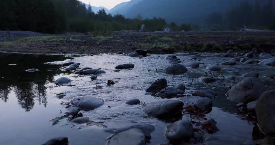 Water flows gently down a stream