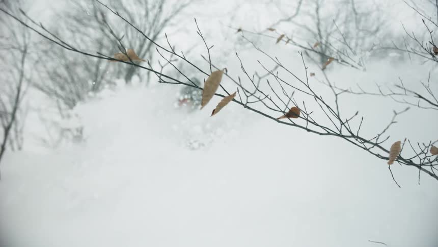 A skier turns through the snow