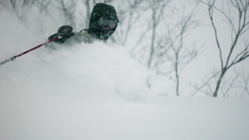A person dressed in black skiing through snow with trees in the background