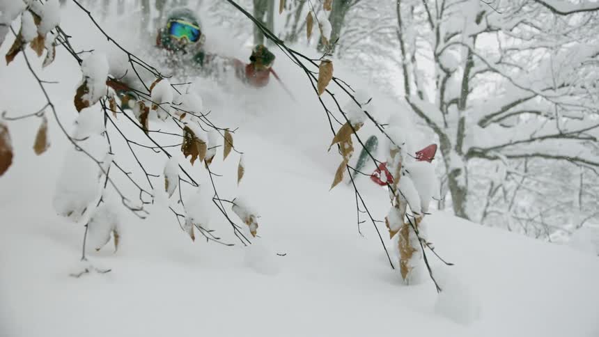 Person skis down a hill between trees
