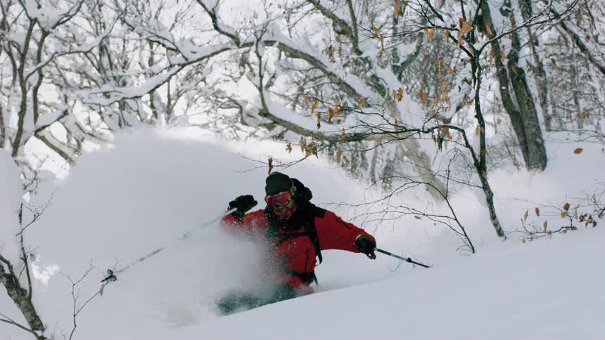 Man in red coat skiing in a wooded area near sunrise