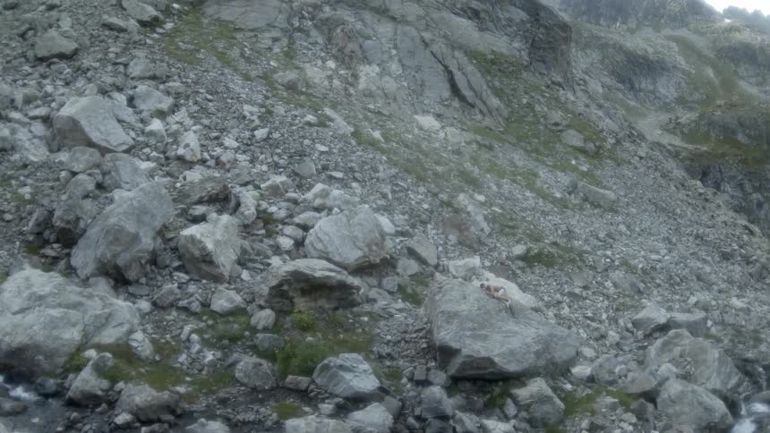 Stone debris covers the side of a mountain