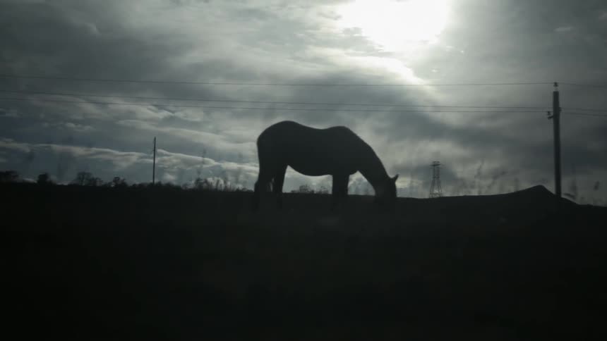 A horse is grazing in a pasture on a stormy day