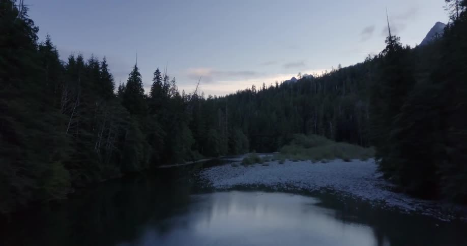 A river flows through a forest at sunrise