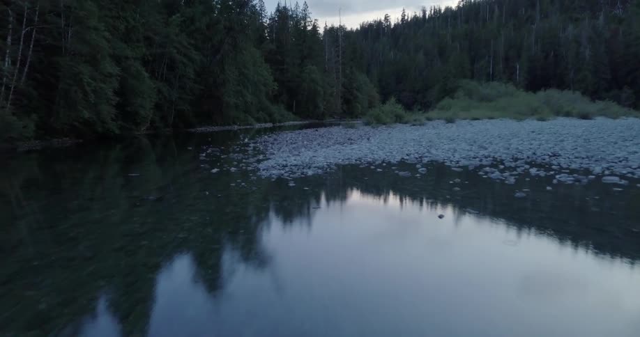 A river is flowing through a forest at dawn