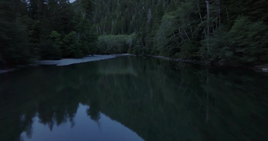 The trees are reflected in the forest lake surface