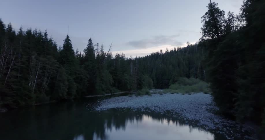 A river flows through a forest at sunrise