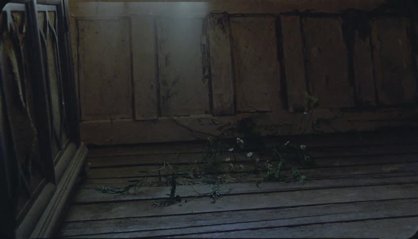 Flowers and weeds grow through the floorboards of an abandoned house