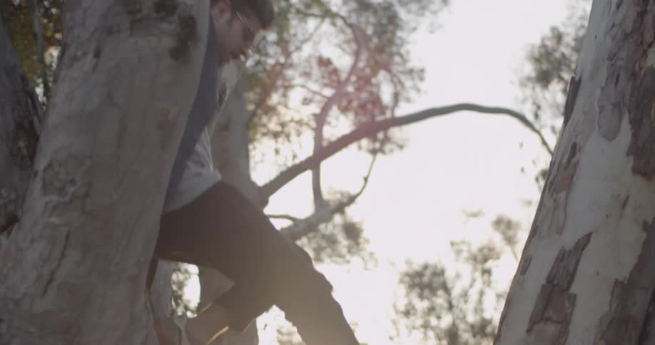 A man jumps down from a tree