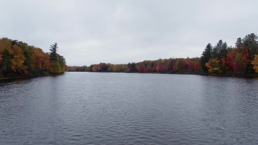 Trees with autumn leaves line a river
