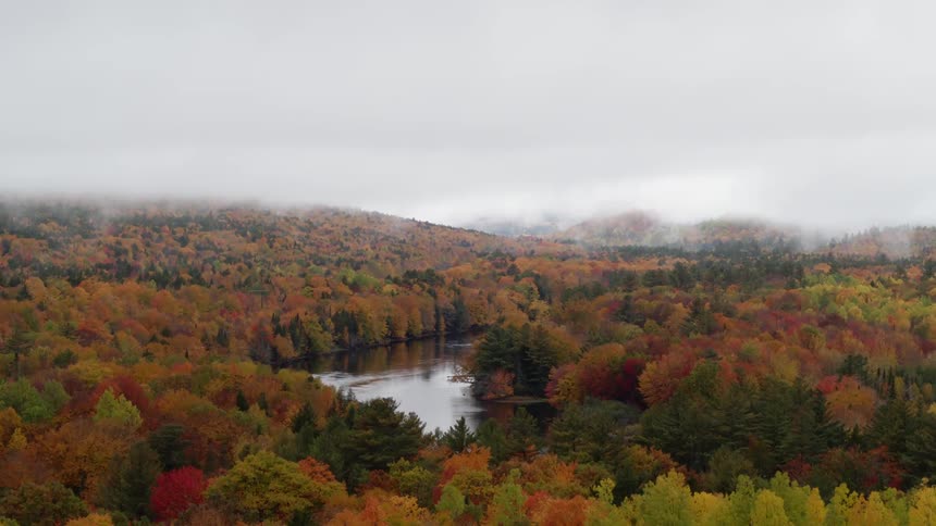 A river flows through a forest with fall foliage