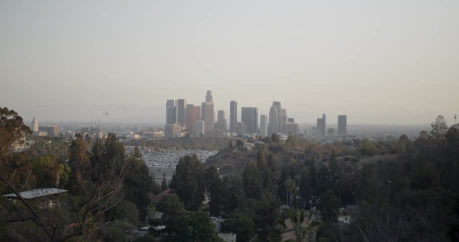 Trees and a city in the background