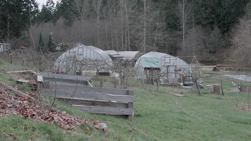 The farm is on a hill near the forest
