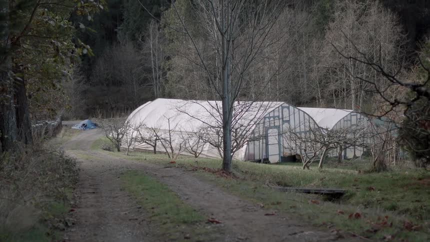 Barracks-like buildings beside a dirt road through a forest
