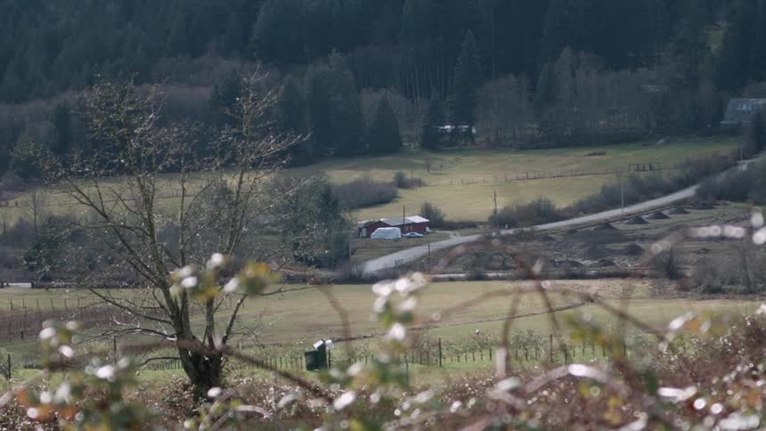 The farm is full of green pastures and dense forests