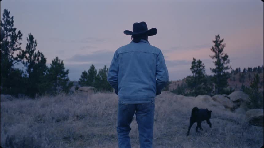 Man in a cowboy hat walks with dogs in a field