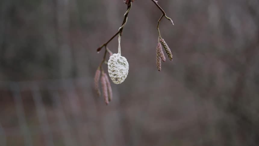 A crotchet ornament hangs from a tree branch outside