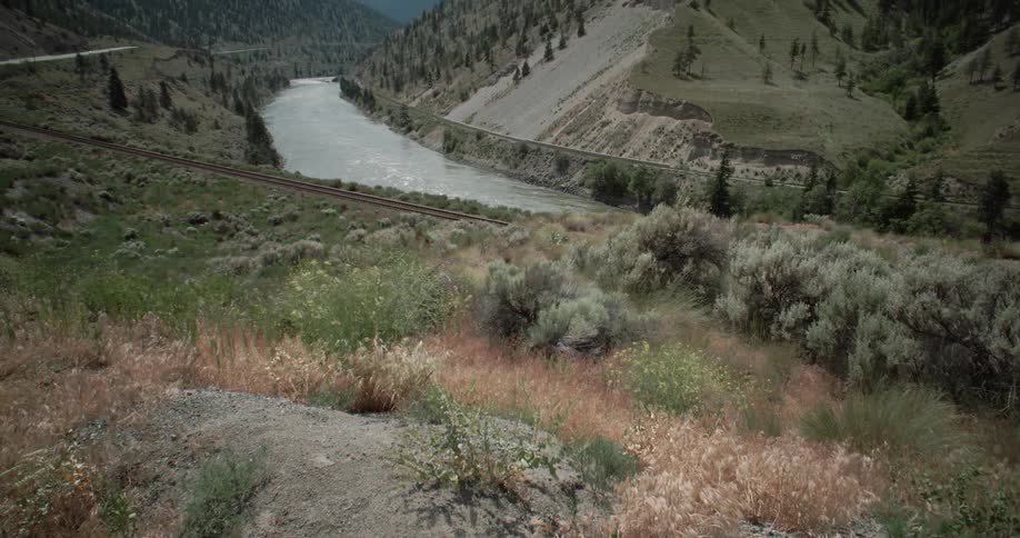 Wind blows grass and plants on a hillside overlooking a river