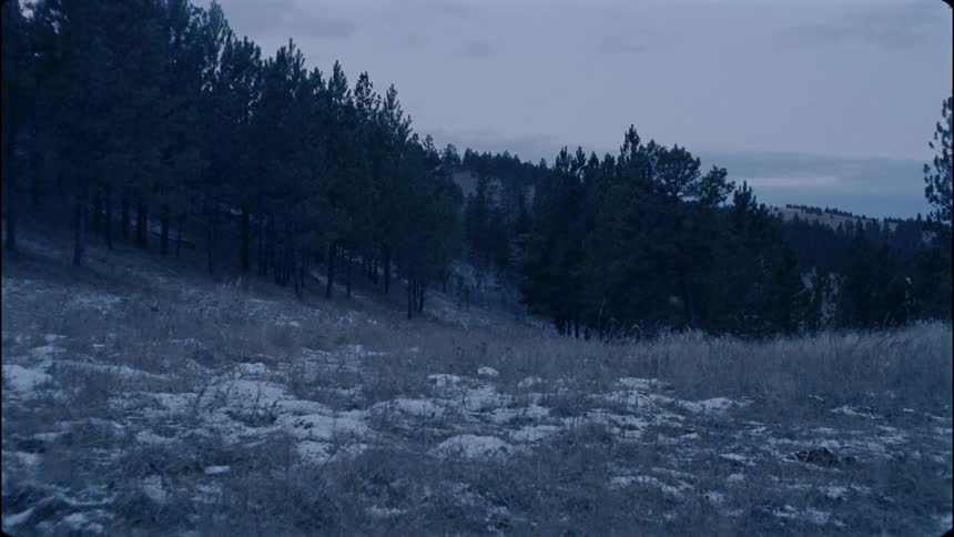 The field before the forest is covered with grass and snow