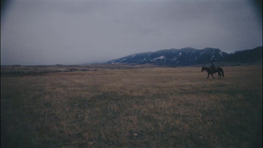 A person rides a horse on the long field